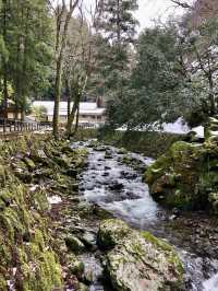 Winter Wonders in Fukui – Temples, Dinosaurs & Peaceful Shrines 