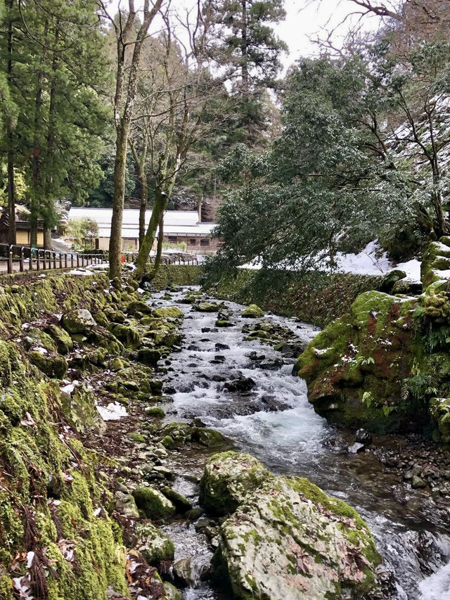 Winter Wonders in Fukui – Temples, Dinosaurs & Peaceful Shrines 