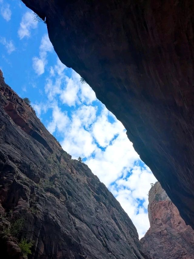 Walking Through the River: The Narrows Adventure