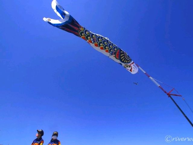 【埼玉県】世界一大きなジャンボこいのぼりが空を舞う！