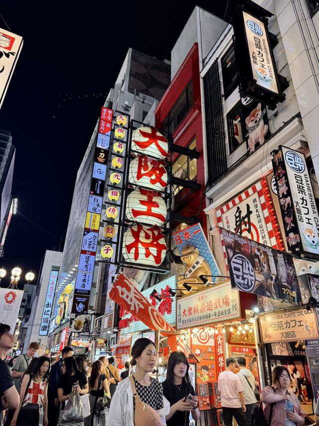Osaka Highlights: Food, Fun & Castles