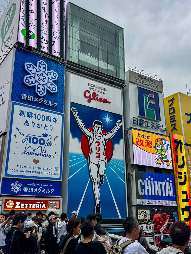 Osaka Highlights: Food, Fun & Castles