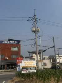 안성에서