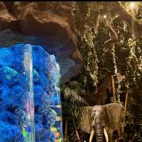 【千葉/舞浜🇯🇵】まるでジャングル内でお食事体験？！Rainforest Cafe