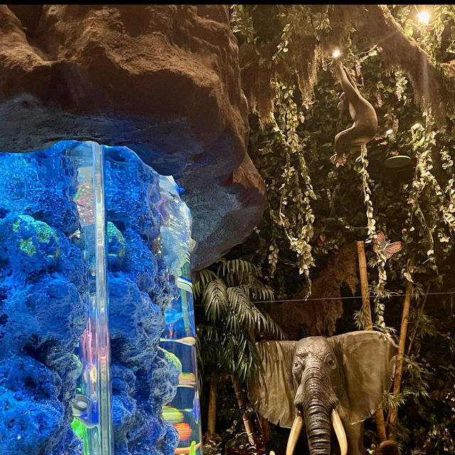 【千葉/舞浜🇯🇵】まるでジャングル内でお食事体験？！Rainforest Cafe