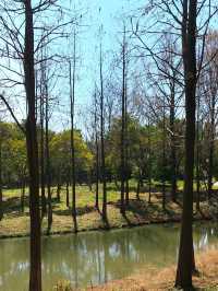 Gucun Park: Your Summer Escape