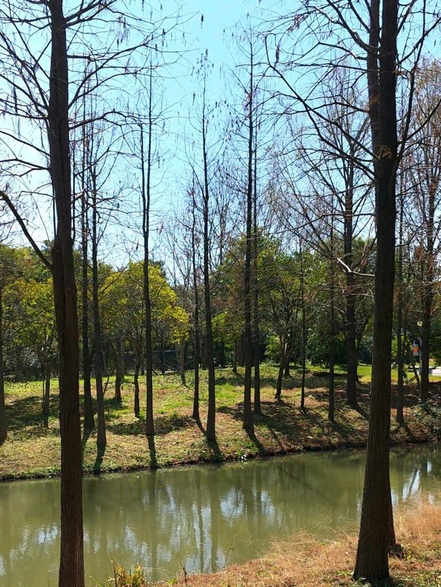 Gucun Park: Your Summer Escape