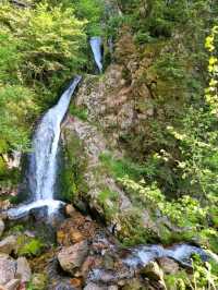 Black Forest National Park – Germany’s Enchanted Wilderness