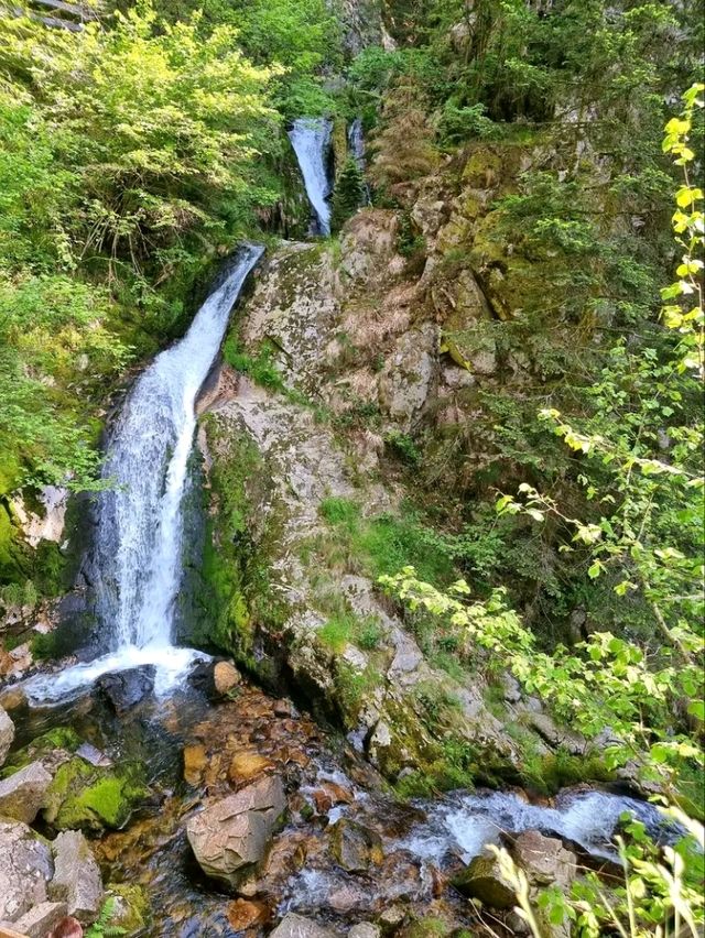 Black Forest National Park – Germany’s Enchanted Wilderness