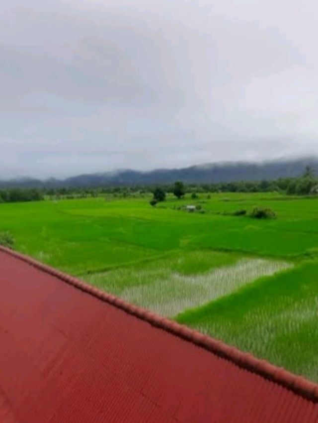 "วัดแม่ทาน" 