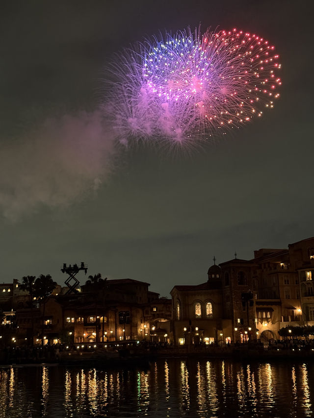 An Honest Review for DisneySea.