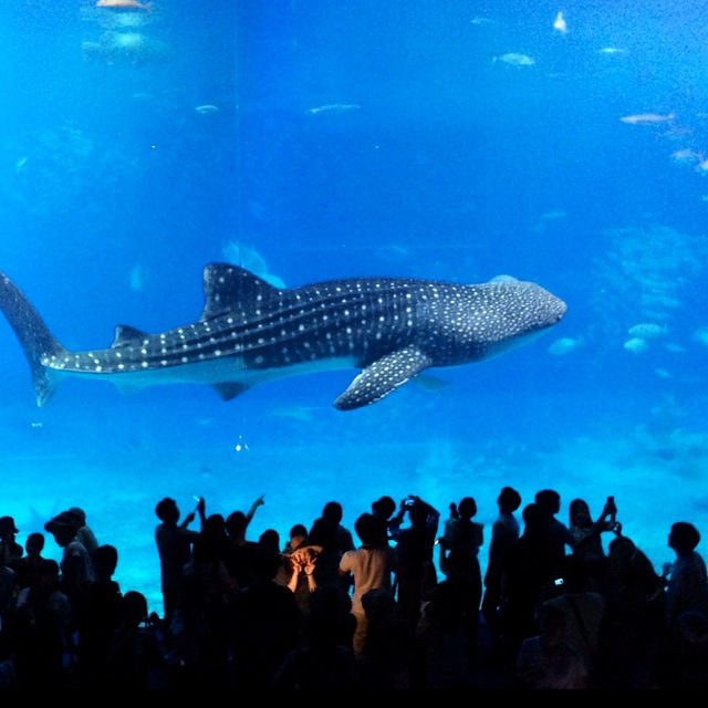 一度は行って欲しい沖縄オススメの場所
