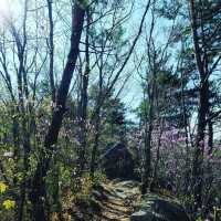 Easy Hike, Great Views, Totally Chill Spot