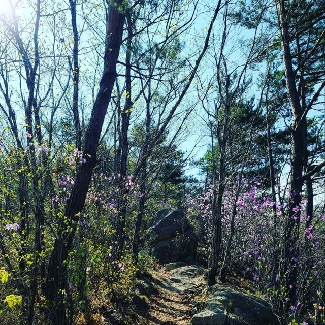Easy Hike, Great Views, Totally Chill Spot