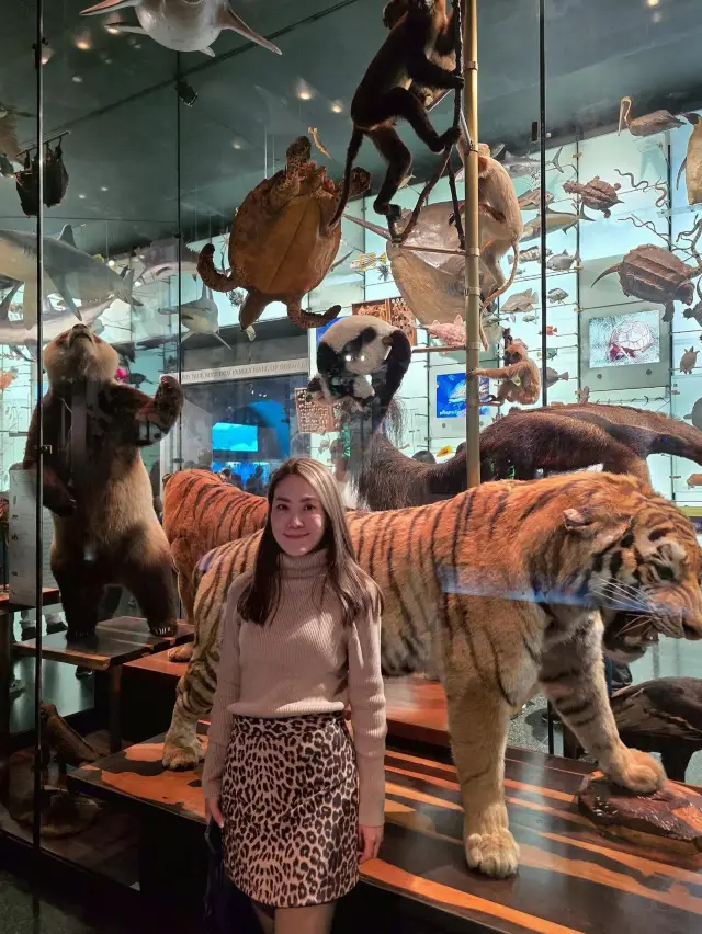 American Museum of Natural History