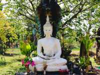 วังแสนมนต์ตรา