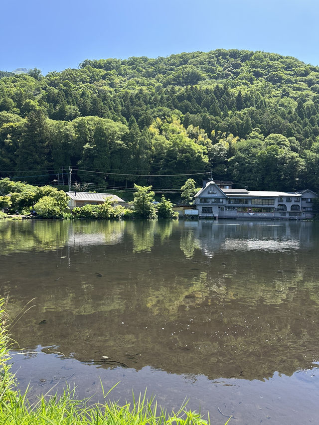그림같이 아름답고 🧘‍♂️평온한 힐링을 즐기기에 좋은 오이타현 유후인 여행🏞️