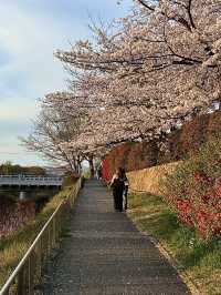 โอซาก้า🇯🇵