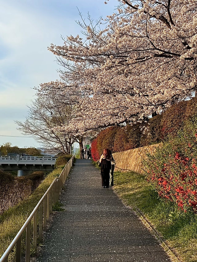 โอซาก้า🇯🇵