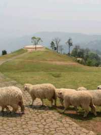 Akha Farmville