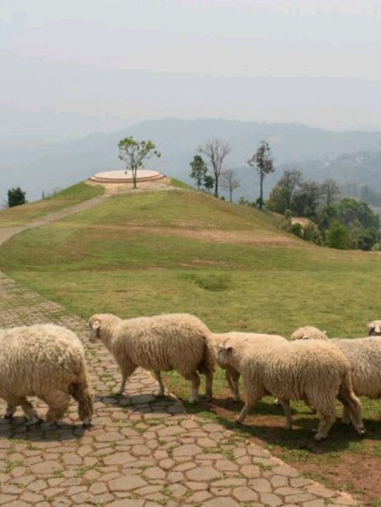 Akha Farmville