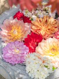 【奈良】7/6まで開催！紫陽花の池を見に行こう🩵