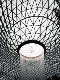 A Mesmerizing Oasis – Jewel Changi’s Rain Vortex