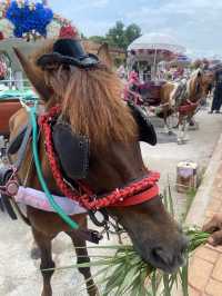 How to spend 2 days in Lampang