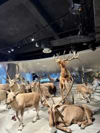 Shanghai Natural History Museum