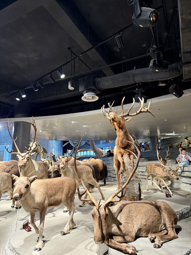 Shanghai Natural History Museum