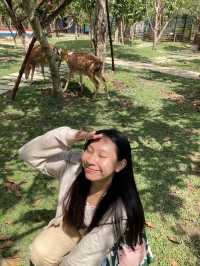 Vietnam trip 🇻🇳 / Can tho & Ho Chi Minh city 