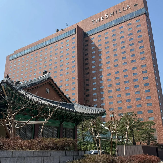 Shilla Stay | Seoul Hotel Recommendation 🏨✨