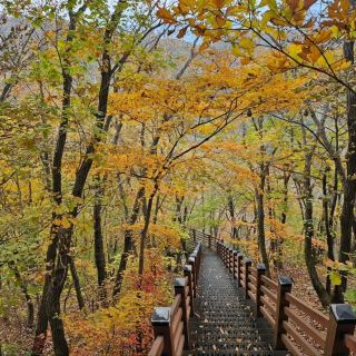Stairs, Shrines & Sweet Views