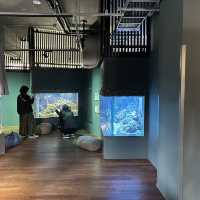 【廃校水族館】みなとやま水族館がエモすぎた🐟🏫