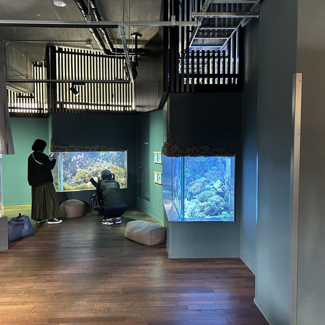 【廃校水族館】みなとやま水族館がエモすぎた🐟🏫