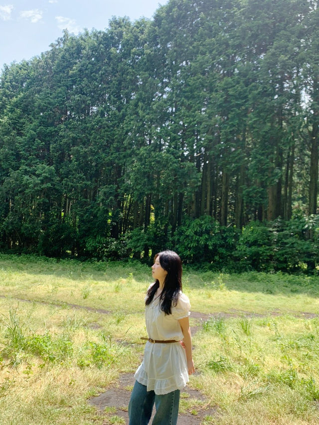 푸릇한 여름 지금 꼭 가야하는 제주 필수여행지