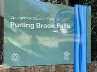 Best of all lookout - The Springbrook National Park
