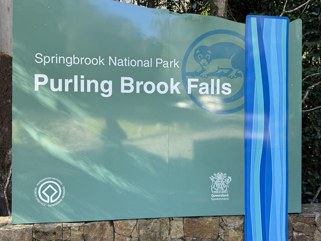Best of all lookout - The Springbrook National Park
