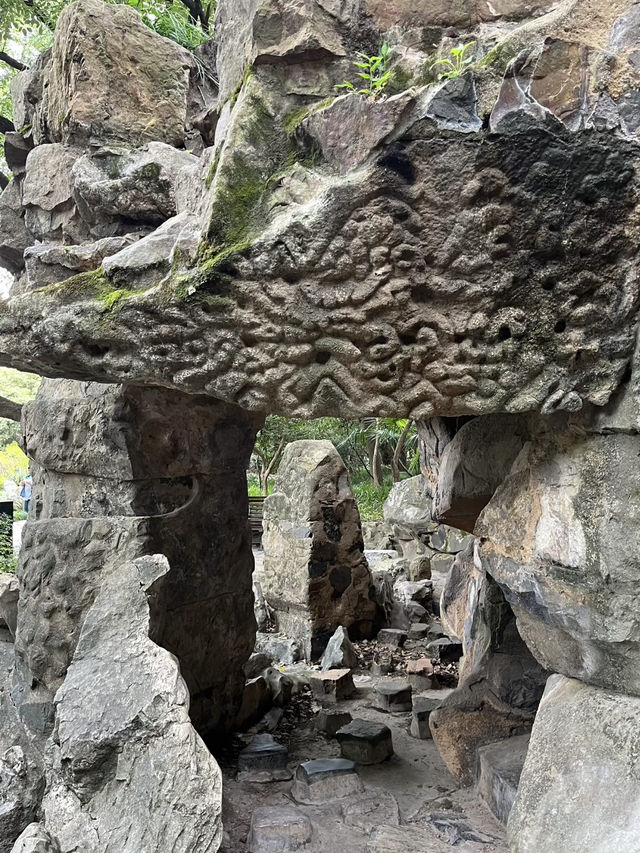 A Serene Retreat in the French Concession: My Visit to Fuxing Park, Shanghai