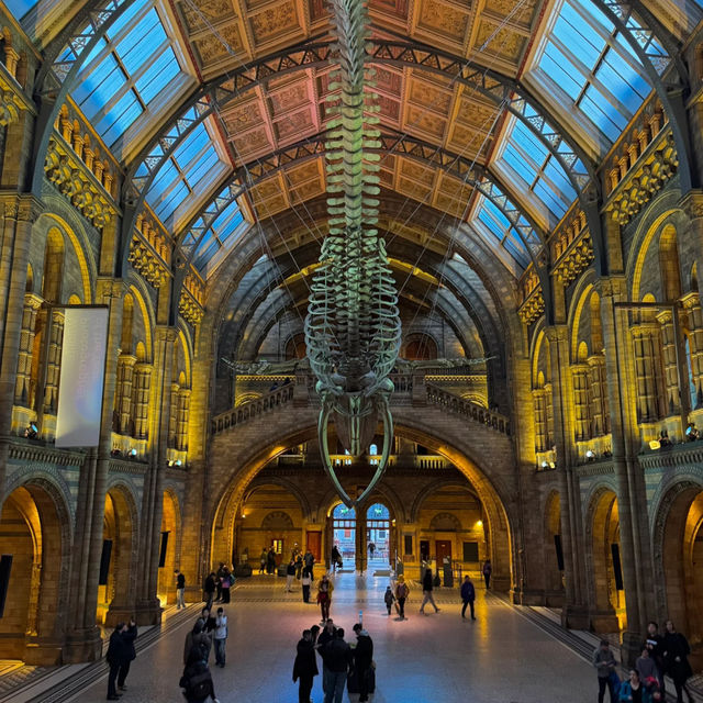Don't Miss This Free Museum in London! 🦖🦋