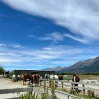 Exploring Glenorchy: A Horse Riding Adventure! 🐴🌲
