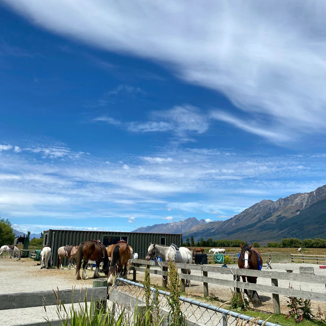 Exploring Glenorchy: A Horse Riding Adventure! 🐴🌲