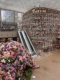 Most Stunning Library Experience