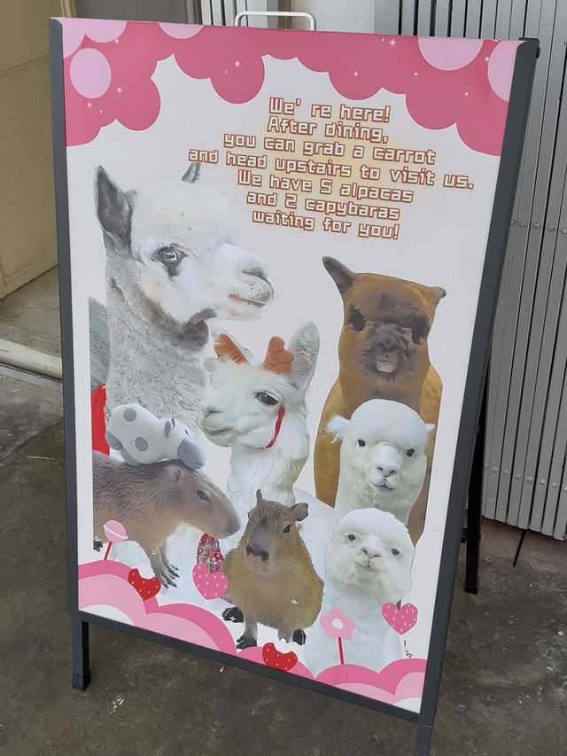 Capyba Cafe Skudai: Feed Alpacas, Meet a Capybara & Try the Cutest Pudding