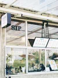 Sip Happens at Sip Trg Cafe!