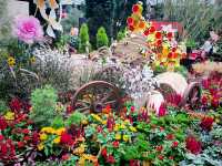Travel Wonderland at Jewel Changi – A Magical Escape in Transit