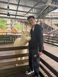 Me and my Fluffy Sidekick