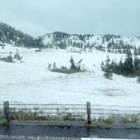 หิมะครั้งแรกของฉัน ณ กำแพงหิมะ Murodo Snow Wall 