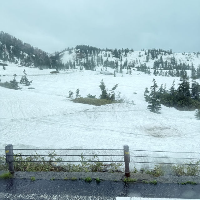 หิมะครั้งแรกของฉัน ณ กำแพงหิมะ Murodo Snow Wall 