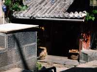 เดินเล่นย้อนเวลาในเมืองเก่าลี่เจียง